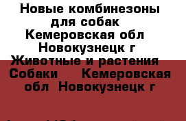 Новые комбинезоны для собак - Кемеровская обл., Новокузнецк г. Животные и растения » Собаки   . Кемеровская обл.,Новокузнецк г.